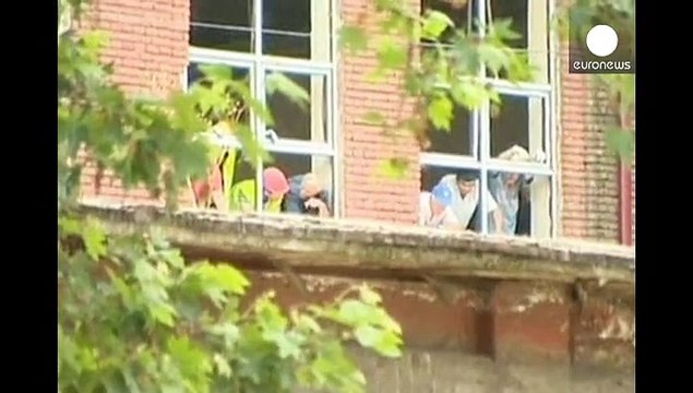 Après les inondations, un tigre blanc tue un homme à Tbilissi