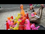 Man sells colourful animal-shaped balloons - Gujarat