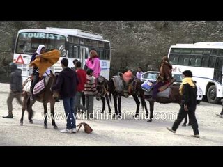 Descargar video: Jankichatti: midway destination during Yamunotri tour or Char dham yatra