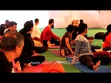 Bharath Shetty's Yoga session at India's International Yoga Festival