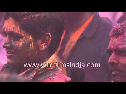 Smeared in colours Vrindavan celebrates Holi