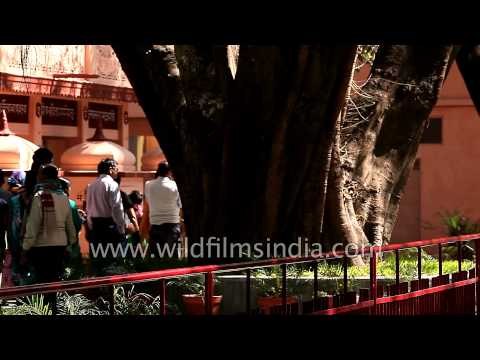 Hindu devotees visit Parmarth Niketan Ashram in Rishikesh