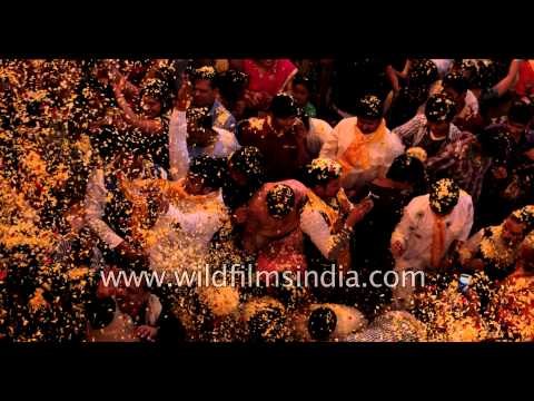 Safer Holi with flower petals and no colours! Kesi Ghat, Vrindavan