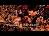 Safer Holi with flower petals and no colours! Kesi Ghat, Vrindavan