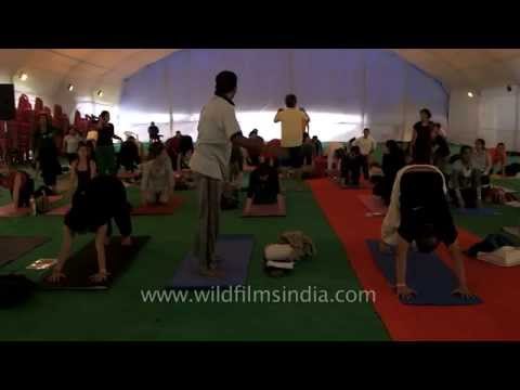 Bharath Shetty's Yoga session at International Yoga Festival, India