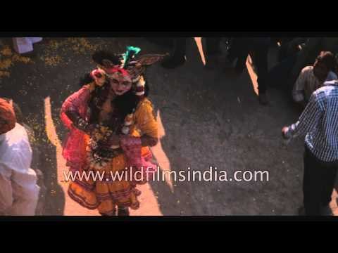 A Divine Love - Shri Krishna Raas-leela