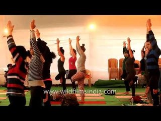 Yoga instruction from the foothills of the Himalaya