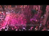 Banke Bihari temple celebrates Holi festival - Vrindavan