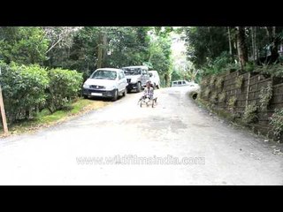 Mizo children ride bamboo Billycarts in Mizoram