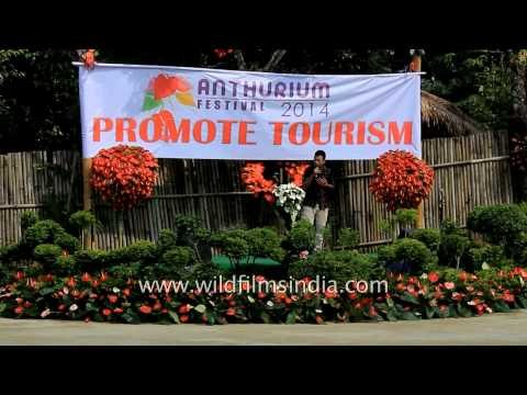 Love song by Mizo singer during Anthurium Festival - Mizoram