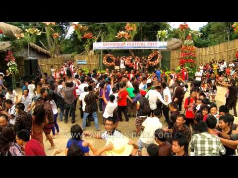 Mizo rock singer F. Sanglura entertains all - Anthurium festival