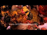 Flower shower on 'Radha Krishna': Holi celebration at Keshi Ghat, Vrindavan