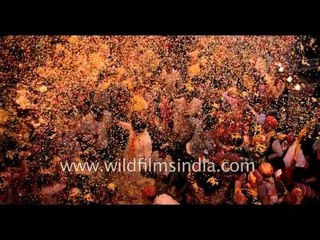 Holi with flowers at Keshi Ghat - Vrindavan