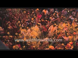 A colorful shower of flowers at Keshi ghat in Vrindavan