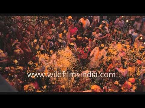 A colorful shower of flowers at Keshi ghat in Vrindavan