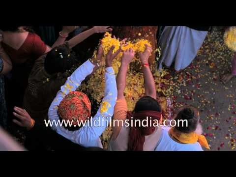 Holi - The festival of colours, Vrindavan