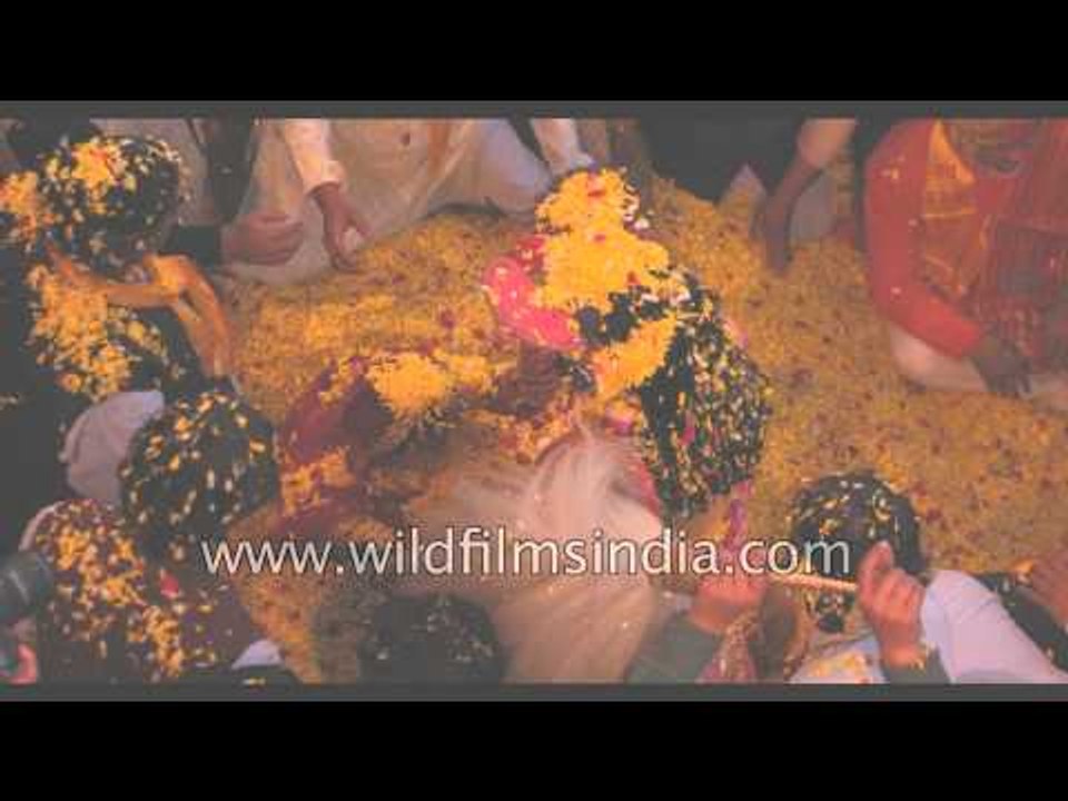 Hindu devotees celebrate Holi with flower petals - Vrindavan
