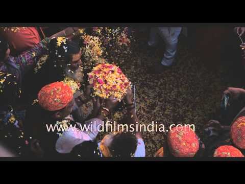 Indian devotees celebrate 'Phoolon ki Holi' in Vrindavan