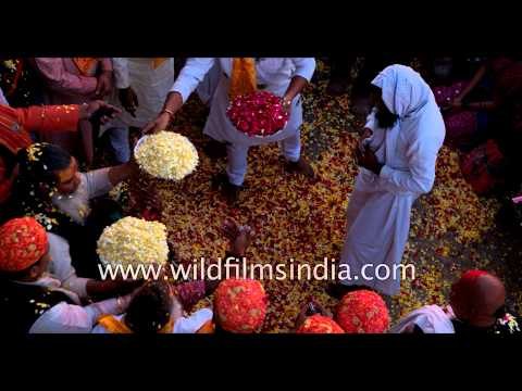 India celebrates 'Phoolon ki Holi' : Using flower petals instead of colours