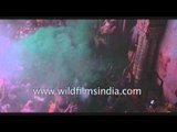 People smear colour on each other while celebrating Holi - Vrindavan