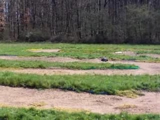 voiture thermique MONSTER TRUCK