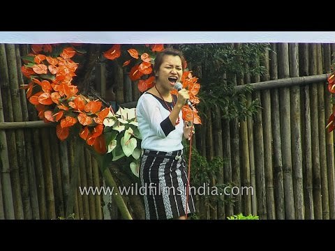 Mizo idol Grace Lalchhanhimi rocks Anthurium festival