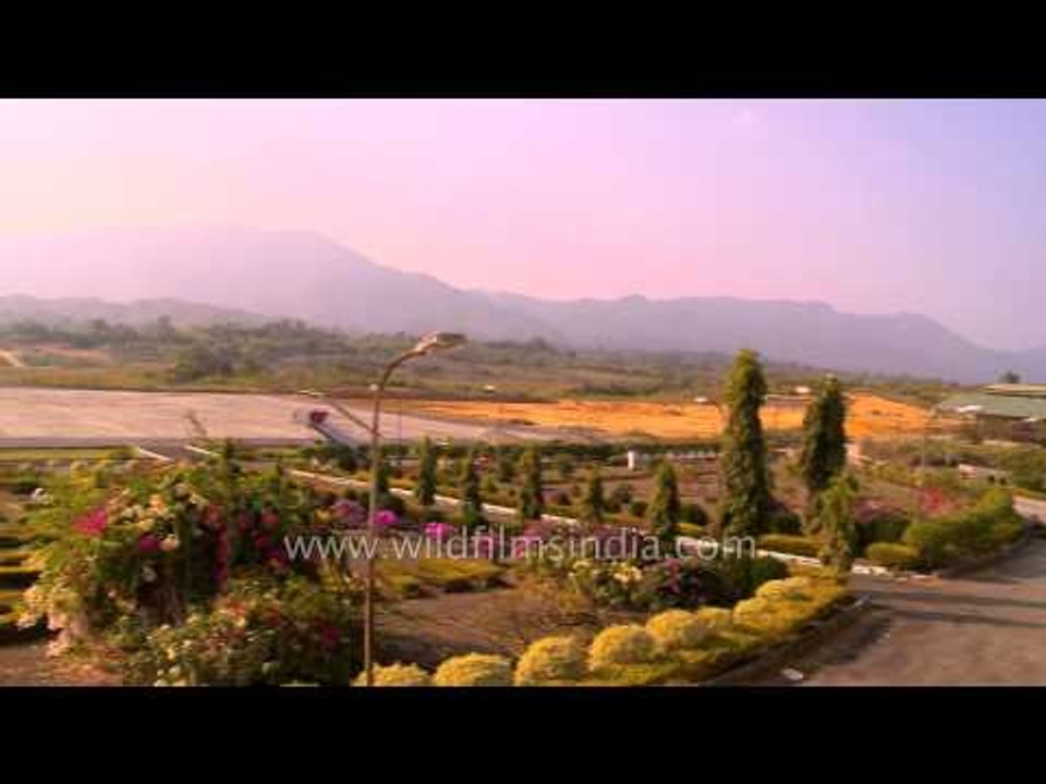 Mussaenda and Bougainvillea flowers blooming at airport garden - Lengpui, Mizoram