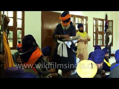 An elderly Nihang distributes 'prasad' to other Nihangs - Punjab