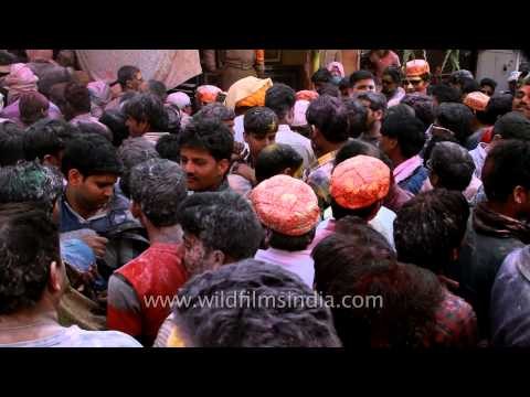 Devotees celebrated Holi at Banke Bihari temple - Vrindavan