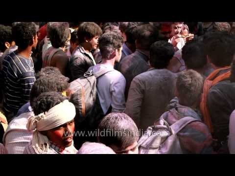 People celebrating Holi at Banke Bihari temple with gulal - Uttar Pradesh