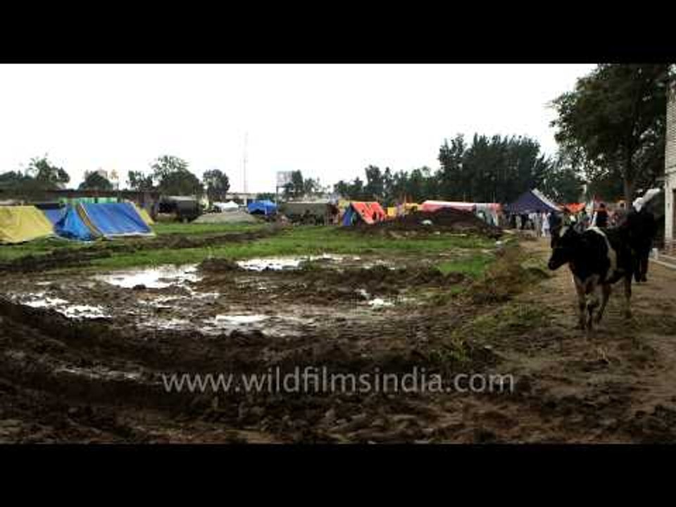 Tented accommodation for Nihangs at Anandpur Sahib, Punjab