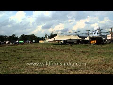 Campsite of Nihangs at Anandpur Sahib, Punjab