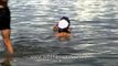 Sikh pilgrims take holy dip at Takht Sri Keshgarh Sahib, Punjab