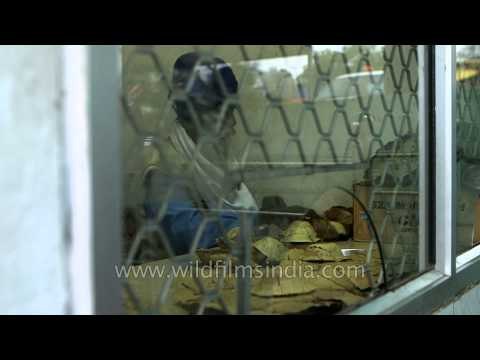 Sikh giving karah prasad to visitors at Baba Guru Dutta Gurudwara