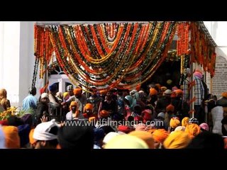 Скачать видео: Sikh pilgrims gather for Hola Mohalla Festival - Gurudwara Keshgarh Sahib, Punjab