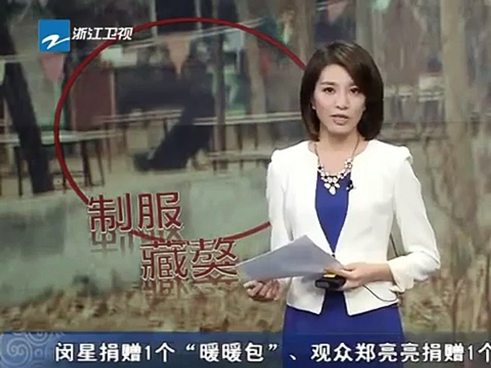 Home Dog overcomes Tibetan Mastiff dog easily after mastiff attacks girl visitor in the Park