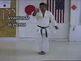 Maegeri patada frontal karate Shotokan Martin Silva 2009