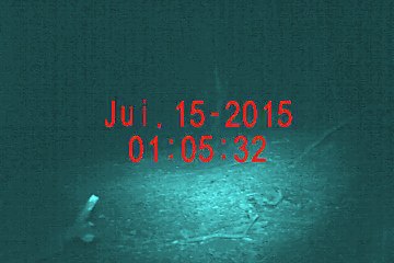 Blaireau sightoptics 12 millions