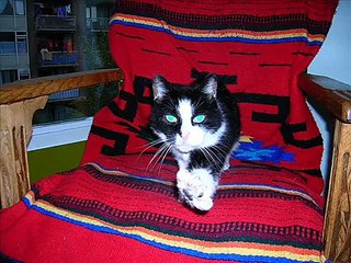 Joep in beeld, en geluid