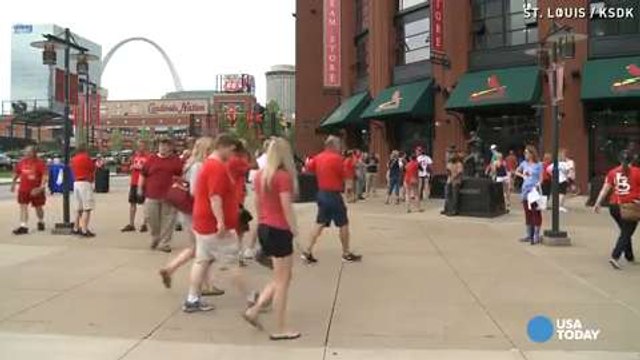 FBI launches investigation into Cardinals