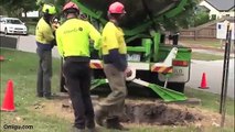 Tree Relocation Machine - Awesome!