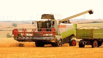 Gerstenernte 2014 ❤ CLAAS LEXION 450 Combine ❤ C600 ❤ Barley Harvest ❤ Żniwa ❤ Moisson
