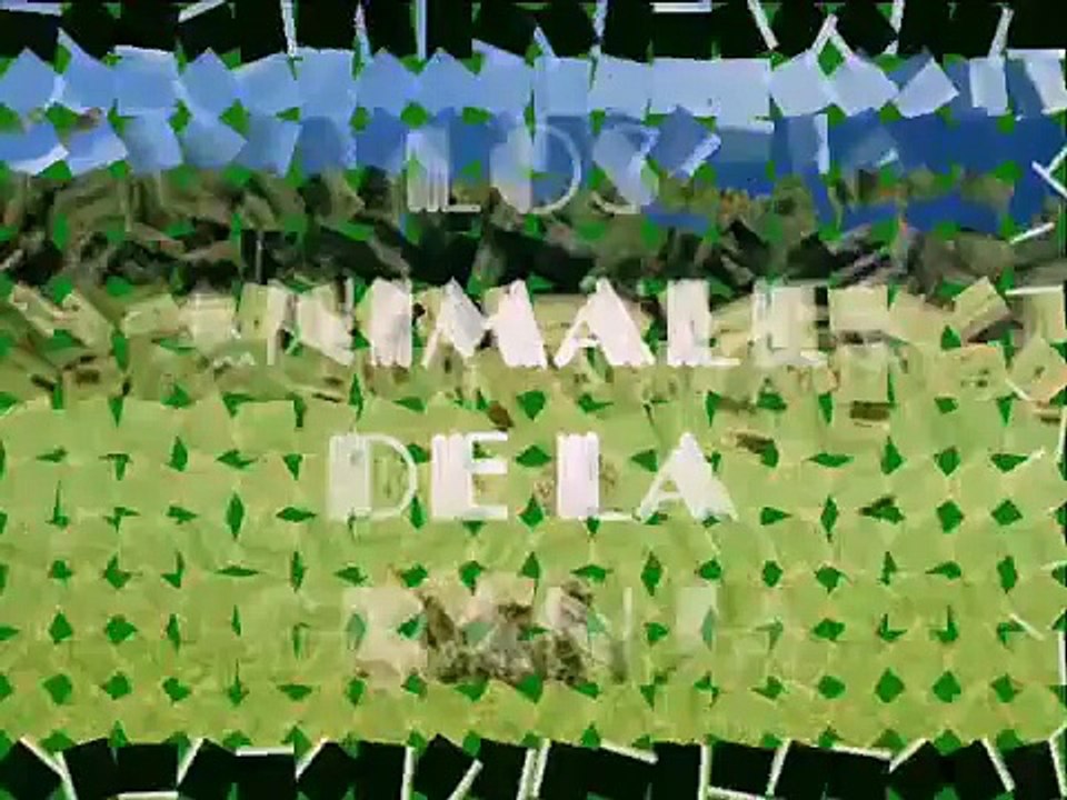 LOS ANIMALES DE LA GRANJA.wmv