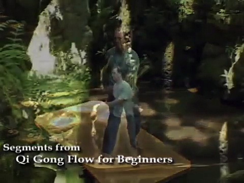 Qi Gong Flow for Beginners with Lee Holden