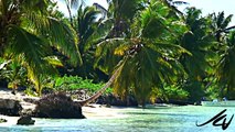 Most Beautiful Beaches - Saona Island Dominican Republic