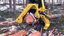 Amazing Wood Cutting Machine - John Deere H414 harvester head - Video Dailymotion