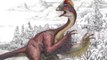 5 Recent dinosaur discoveries