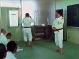 Shorinji Kempo Kyusho lesson