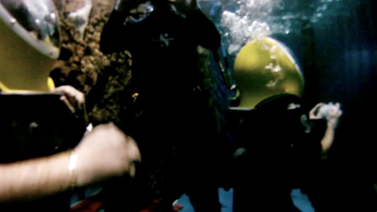 Cage aux requins Marineland Antibes