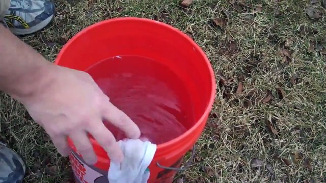 Racing Pigeons; Forced Bath, Lavender Hill Lofts, Washington DC